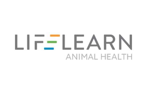LifeLearn logo featuring vibrant horizontal bars in the "E".